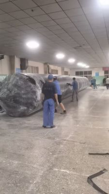 أكياس الهواء المستدامة لإطلاق السفن طولها 1m 30m لعمليات إطلاق السفن البحرية